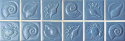 seashell pattern blue ceramic pool border tile.jpg