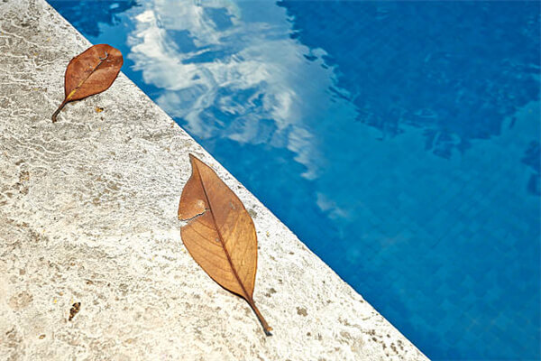 fallen leaves impact swimming pool.jpg