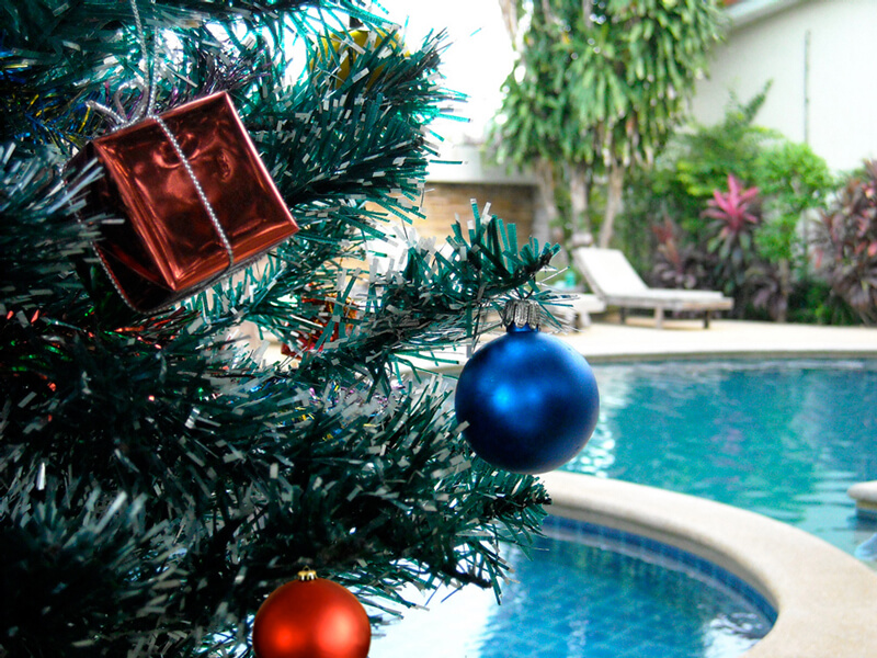 swimming pool with Christmas trees