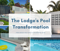 From Neglected Pond to Enchanting Oasis: The Lodge Pool Transformation-pool tile, triangle tile, pool tile manufacturer, pool project