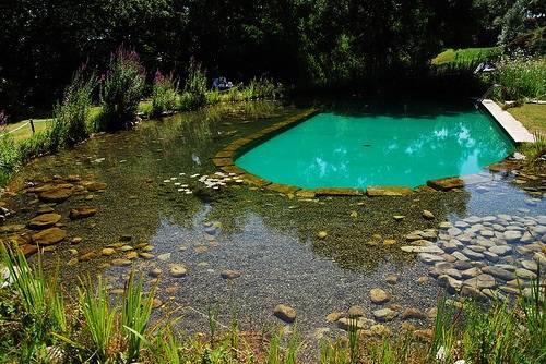 natural pool eco friendly pool.jpg