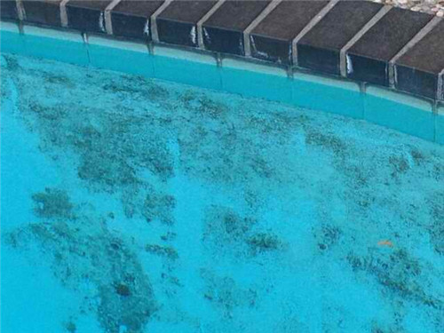 pool stains border tile stains.jpg