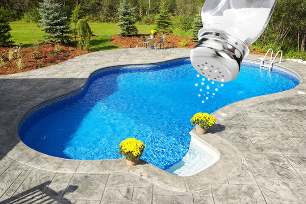 eco friendly saltwater swimming pool.jpg