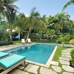 trees-surrounded swimming pool.jpg