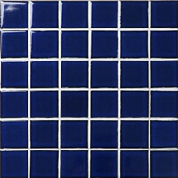 dark blue pool tile.jpg