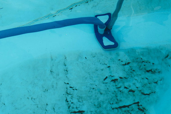 mosaic pool tiles with stubborn algae