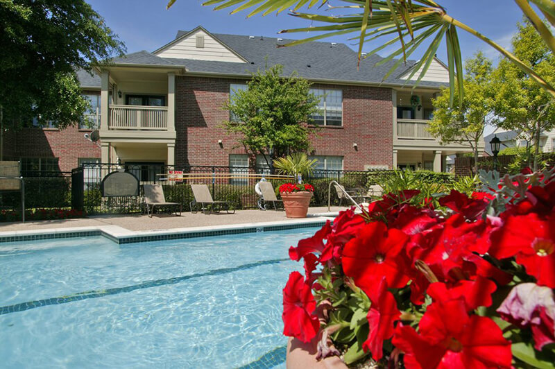 swimming pool with red Poinsettias