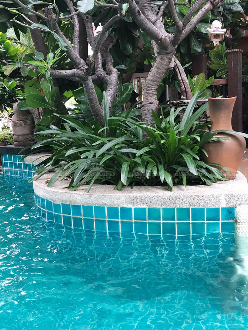 Pool Green Plants Design