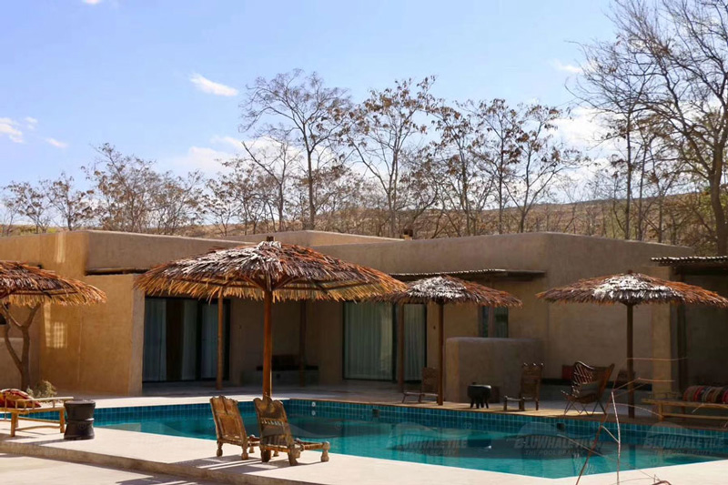 What Is The Hottest Swimming Pool Trends For Swimming Pool Design Pool Deck Ideas Swimming Pool Mosaic Tiles Bluwhale Tile
