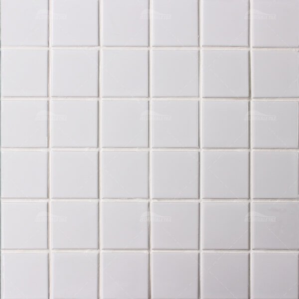 48x48mm Square Matte Porcelain White BCK201