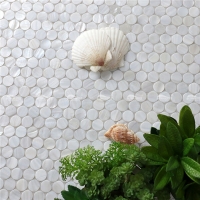 Coquille naturelle Ronde BOZ901E4-Tuile de coquille de perle, tuile de mosaïque de coquille de perle, mère de tuile de douche de perle