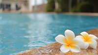 5 luxury Decors You Can Afford to Class Up You Pool-water features, pool decorations, decorative tiles, mosaic tile patterns